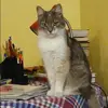 Отзыв от Альбина Петрова
